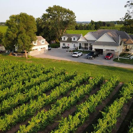 Villa In The Vines Niagara-on-the-Lake Buitenkant foto